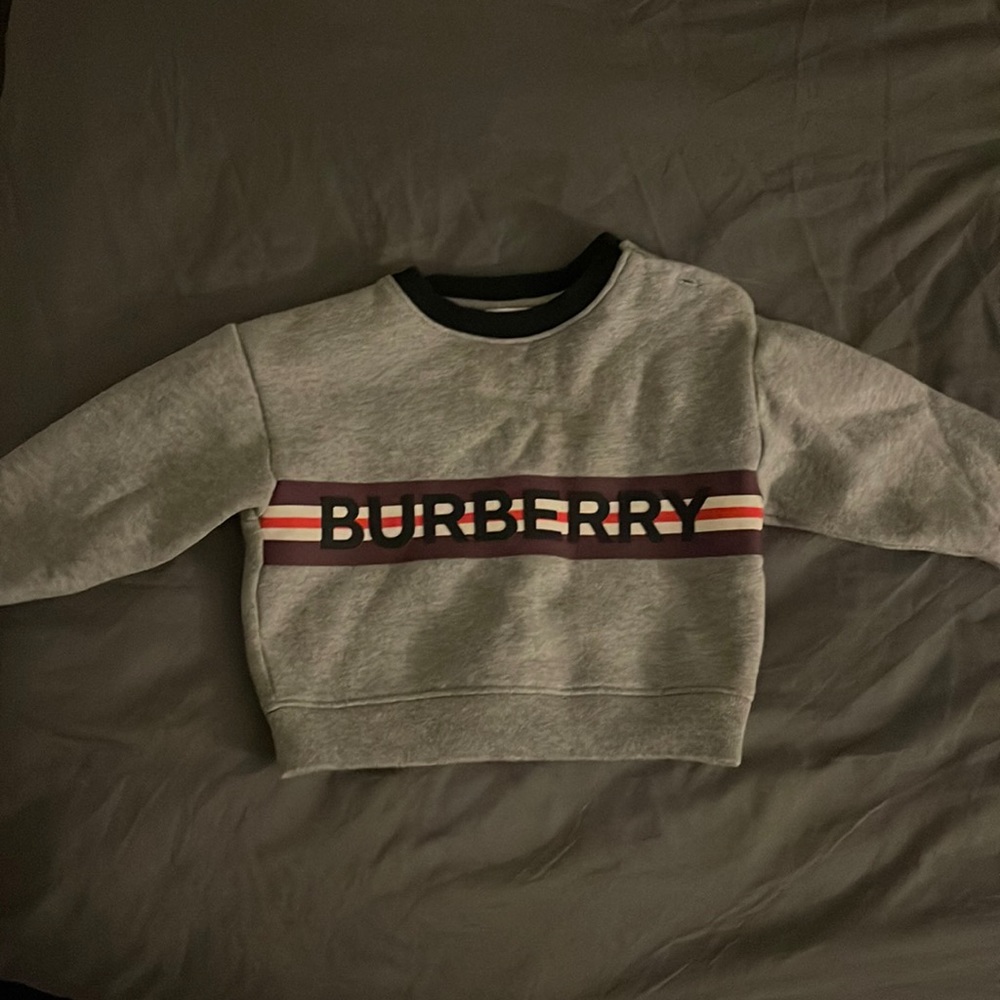 Authentic Burberry Crewneck Sweatshirt - Picture 4 of 4